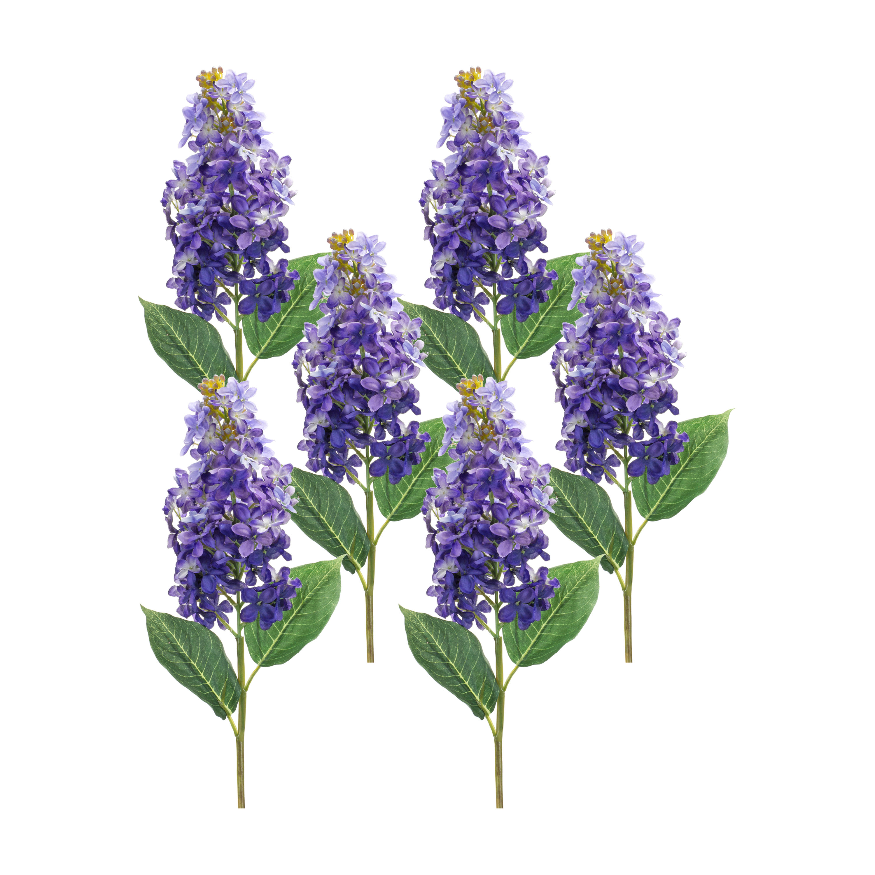 https://assets.wfcdn.com/im/82675804/compr-r85/2217/221728440/lilac-stems-bushes-and-sprays-arrangement.jpg