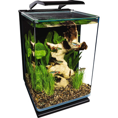 Portrait Glass LED Aquarium Kit, 5 Gallons, Hidden Filtration,Black