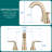 Widespread 2-handle Bathroom Faucet with Drain Assembly-100561674