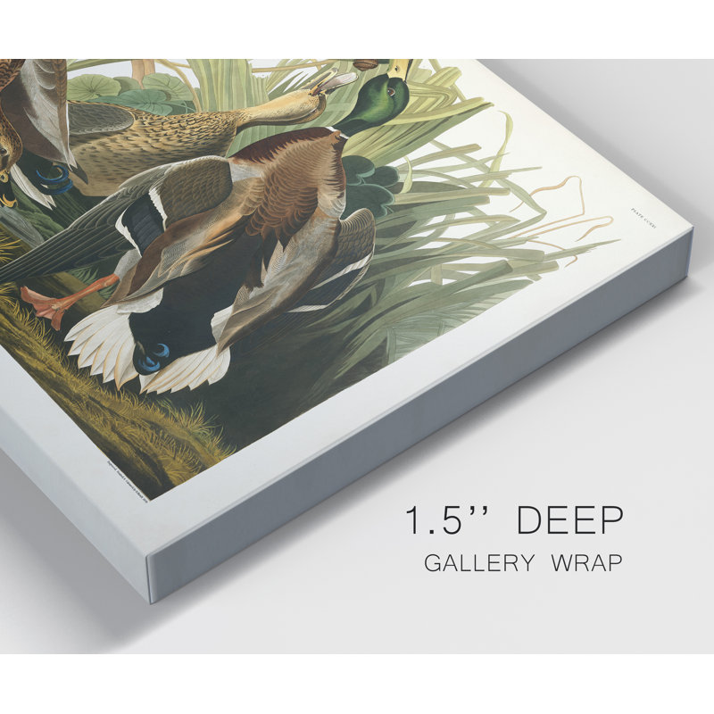 « Pl 221 Mallard Duck », reproduction d’art sur toile tendue, H 12 po x l 18 po x P 1,5 po