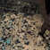 Tapis noir / olive à motif abstrait Alona