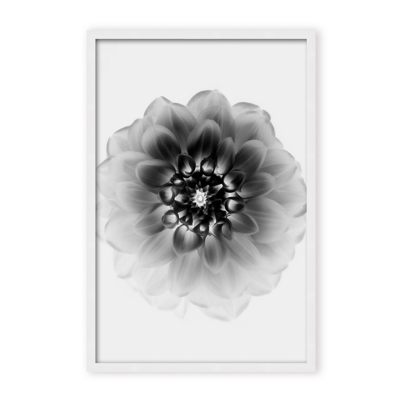 X-Ray Print by Alex Zhao, 36" H x 24" W x 1.125" D, Framed Matted Print, Gold