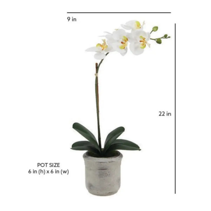 22" Artificial White Phalaenopsis Orchids