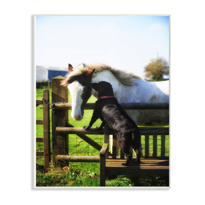 «Farm Horse and Dog», photographie