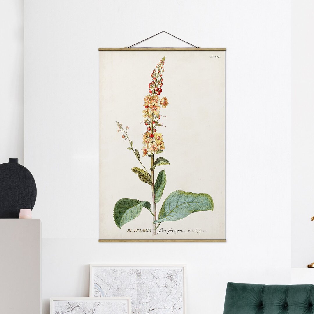 Stoffbild Vintage Botany Illustration Mullein