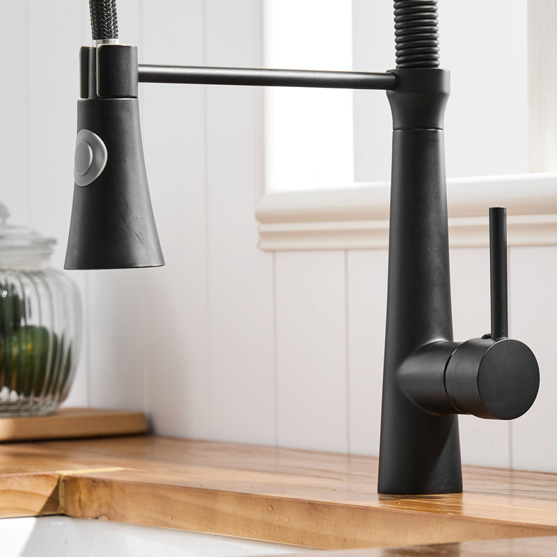 Robinet d'évier de cuisine noir moderne avec rétractable, structure de fuite, couche extérieure facile à nettoyer, température et débit d'eau réglables, solution d'installation rapide