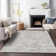Premium Machine Washable Apodaca Taupe Rug