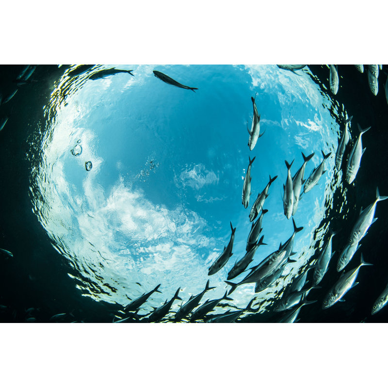 Blue Sea 1 Piece Wrapped Canvas Wall Art, 51cm H x 76cm W