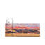 Tapis intérieur / extérieur traditionnel-98264963