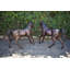Paire de jeunes chevaux très détaillés, poulains et statues en bronze, taille: 56 po x 50 po x H 47 po