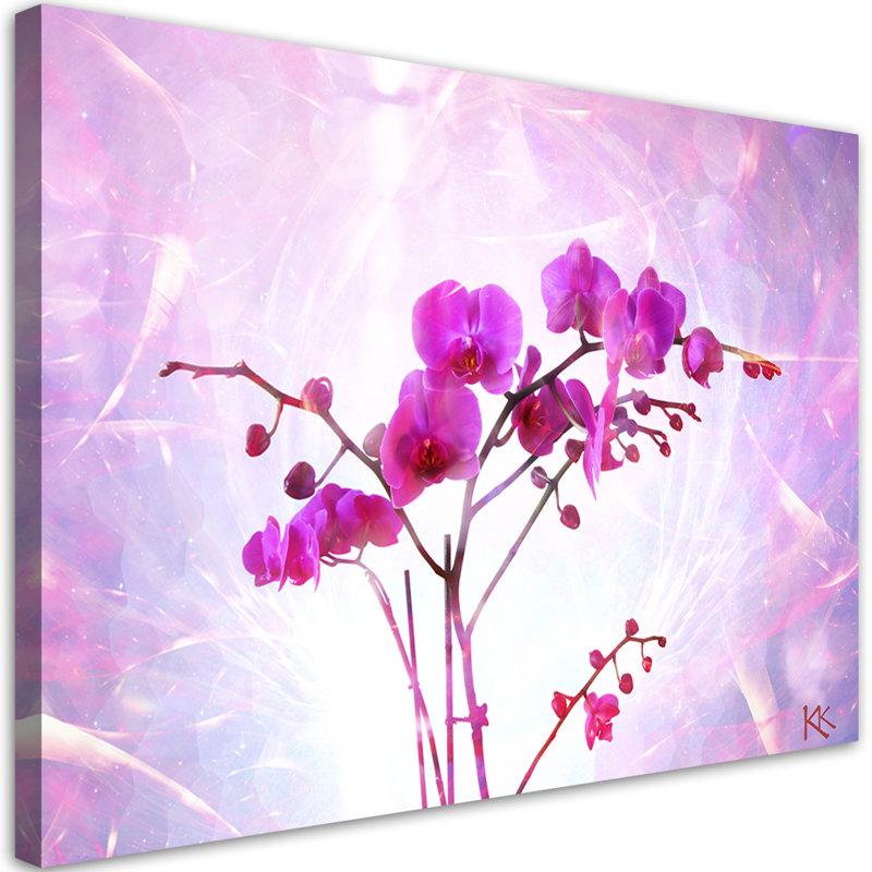 Picture, Orchid Flowers Zen Spa - No Frame Print on Canvas