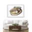 Oyster 3-41751053-41751055