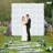 6 PCS Flower Wall Panels