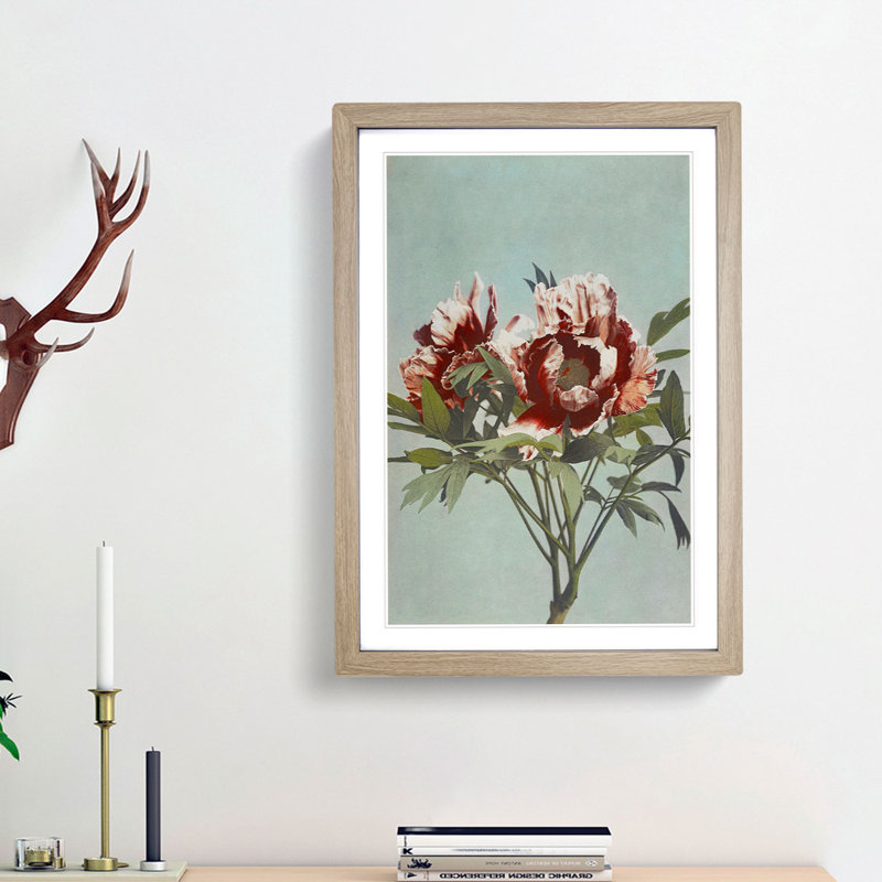 Tree Peony by Kazumasa Ogawa - Picture Frame Painting Print, 48cm H x 36cm W x 2cm D, Oak Framed