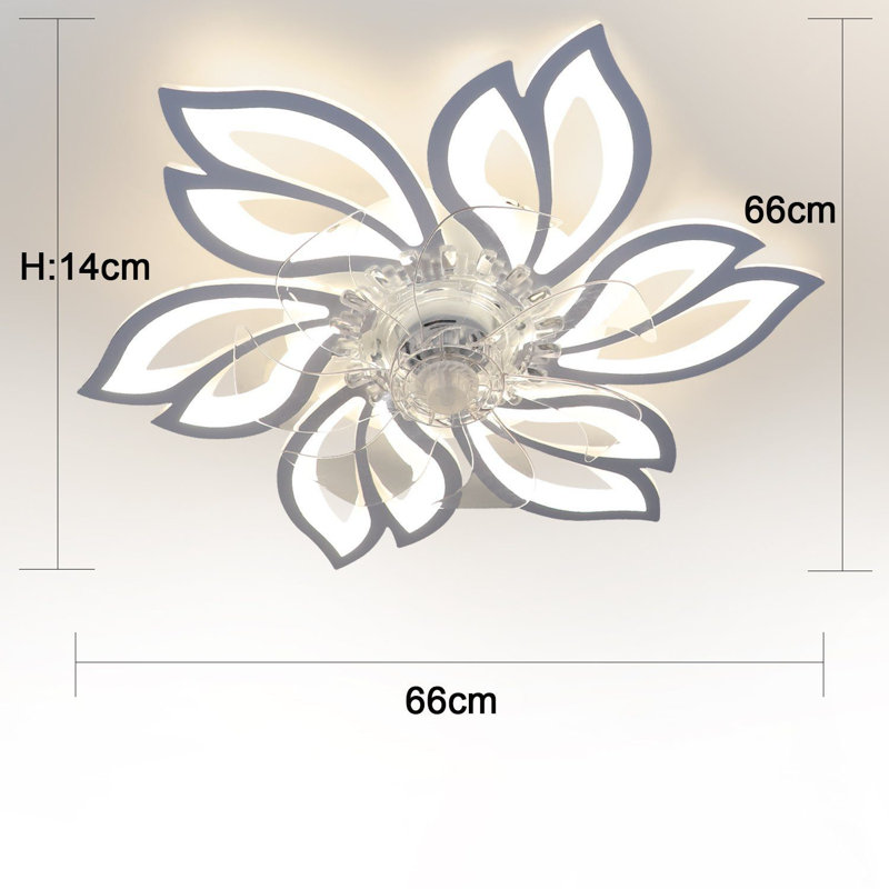 Ceiling Fan with LED Lights