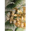 6-Light Chandelier