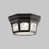 Rubbed Bronze