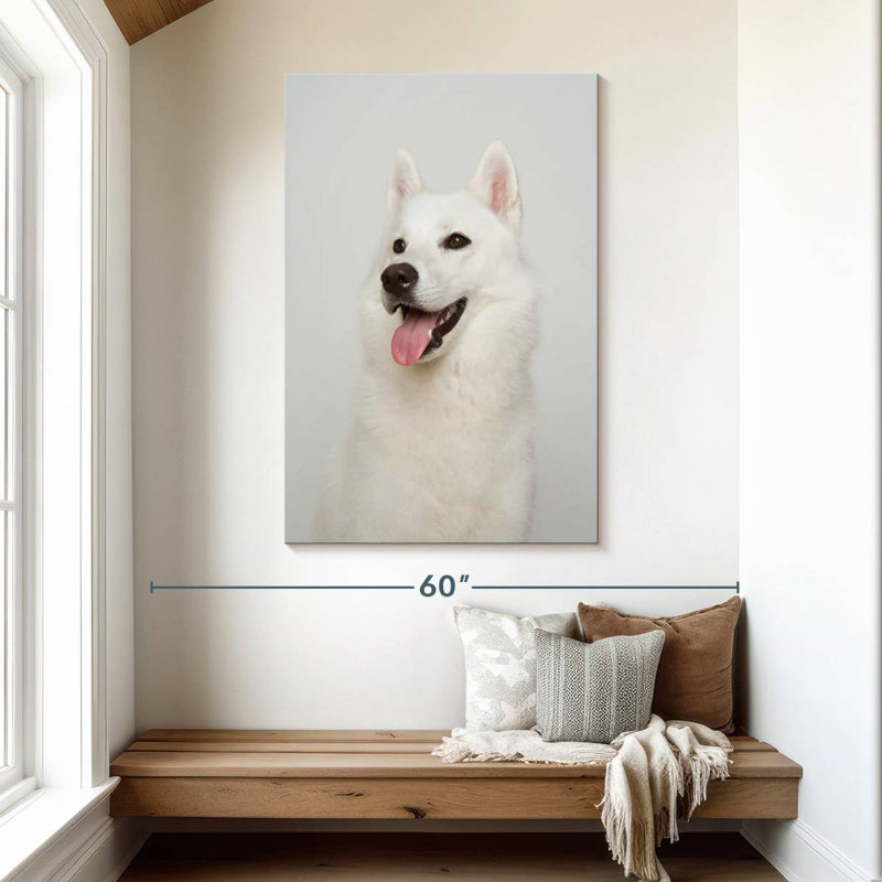 White Siberian Husky, 48" H x 32" W