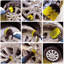 22 Piece Free-Standing Toilet Brush Set