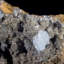 Barite à pales bleues - Jebel Ouichane, Maroc