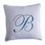 Signature Linen Square Pillow Cover & Insert-29706068