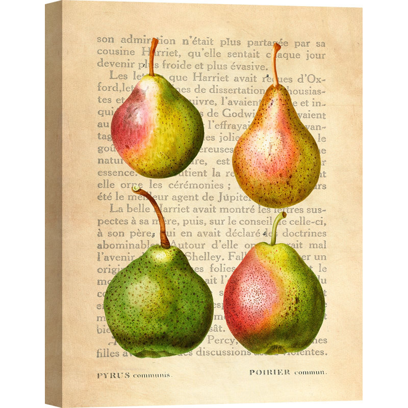 Pears, After Redouté by Remy Dellal - Wrapped Canvas Art Prints, 70cm H x 50cm W x 4cm D