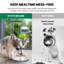 Bol pour animal de compagnie-13945767