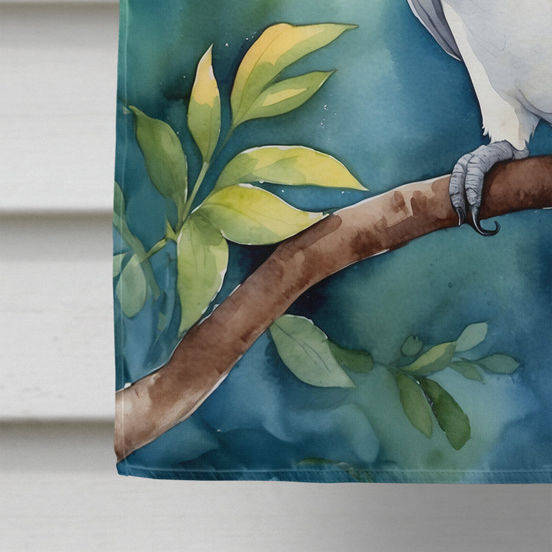House Flag, Cockatoo