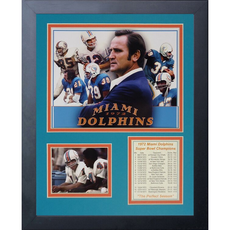 Miami Dolphins Framed 10 x 20 Fan Cave Collage