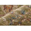 Tapis vert perse Pearson-1984427184