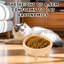 Bols pour animaux de compagnie détachables-119346605