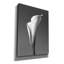 «Calla No. 4» par Photoinc Studio, art mural sur toile, 18 po x 26 po-184113017
