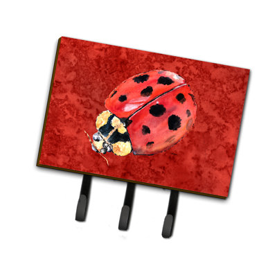 Coccinelle à clé et crochet à clé