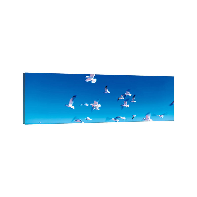 Birds In Flight Flagler Beach FL USA - Wrapped Canvas Panoramic Print, 182.88 cm H x 60.96 cm W