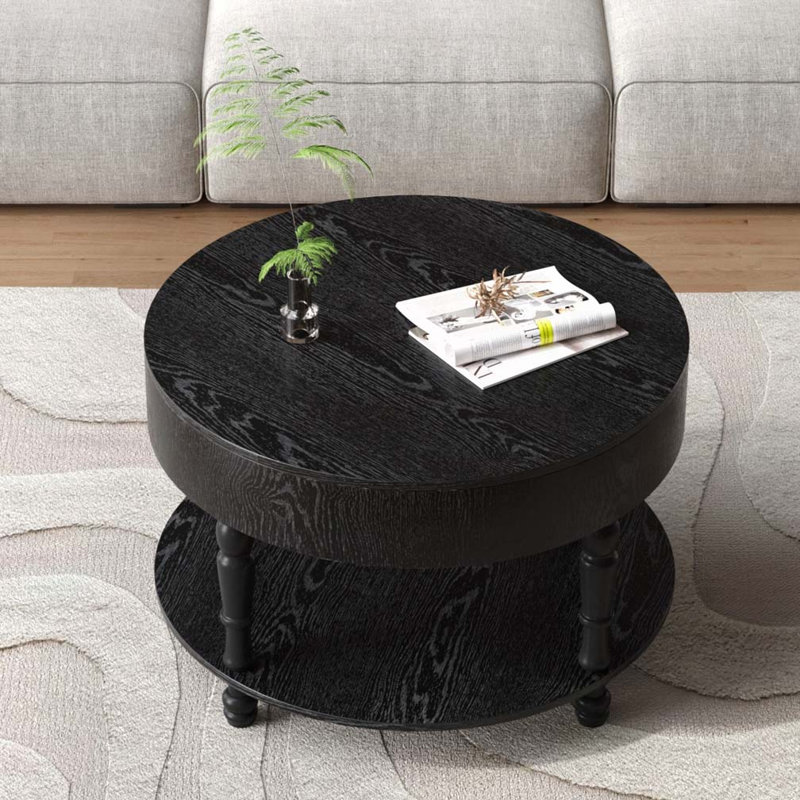 Table basse 31,5 po avec rangement double et compartiment caché, facile à assembler, Noir