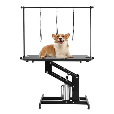 Table de toilettage hydraulique pour animaux de compagnie de 109 cm (43 po), charge maximale de 181 kg (400 lb), bras de toilettage robuste pour chiens moyens et petits, station de toilettage réglable en hauteur, plateau antidérapant.