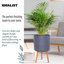 Dotted Style Cylinder Planter with Feet Concrete Effect Cylinder Round Planter on Hardwood Legs, Round Indoor Plant Pot Stand for Indoor Plants, Indoor Flower Pot with Dotted Pattern-1274800033-1274800035