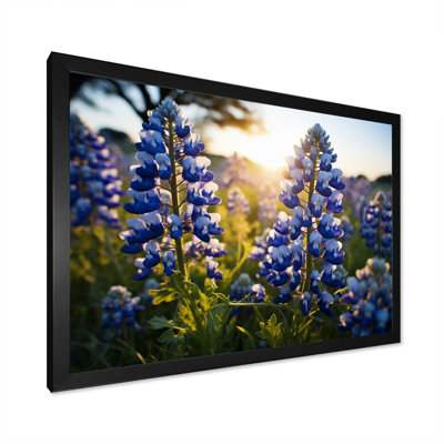 " Blue Bonnets Field Photo IV "