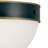 Capsule 12'' Outdoor Flush Mount