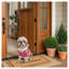 Statue de carlin de Noël - Figurine de chien festif en tenue de Père Noël avec décorations lumineuses, décoration en résine pour entrée et foyer, 42,5 cm de hauteur-789918386