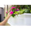 The Anastasiya Resin Window Box Planter with Water Reservoir-276996023-279829709