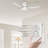 Edder 52'' Ceiling Fan with LED Lights