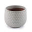 Pot de fleurs-479121824
