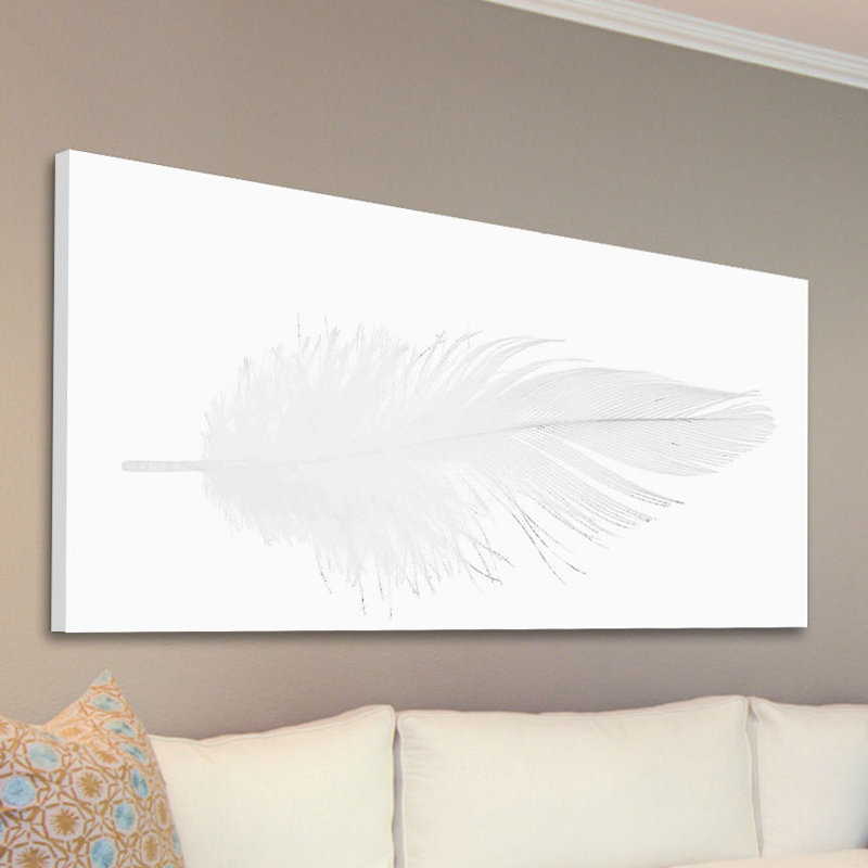 Fluffy Quill - Wrapped Canvas Print, 45cm H x 91cm W x 3.8cm D