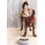 Petsware Dog Bowls-56471316-56471315