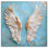 Art sur toile «Weathered Wings III» par Art Remedy