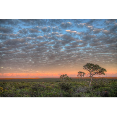 Outback Australia - Wrapped Canvas Print