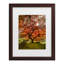 Art encadré moisis Levy «The Tree Vertical»-70074300-70074298