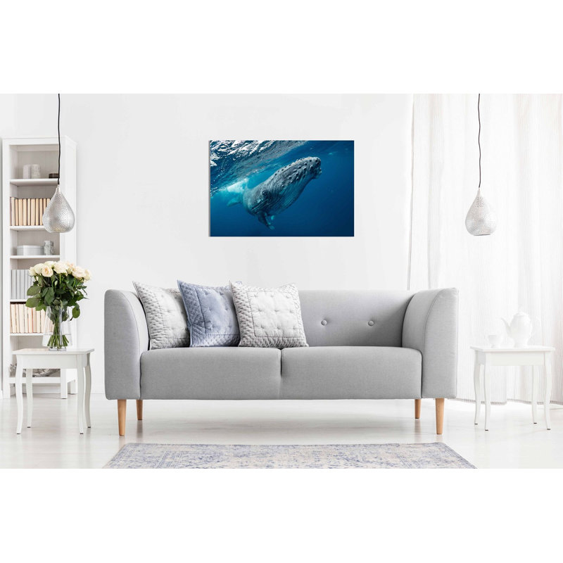 Humpback Whale Ocean - Wrapped Canvas Print, 41cm H x 61cm W