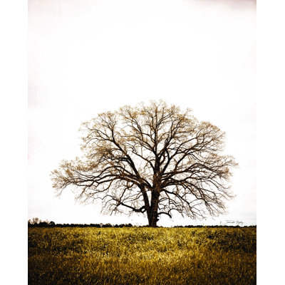 " Legacy Oak "